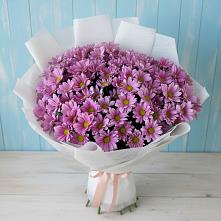 Букет цветов из:  Хризантемы в Автурах