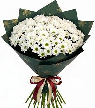 Букет цветов из:  Хризантемы в Автурах