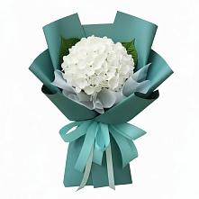 Букет цветов из:  Гортензия в Автурах